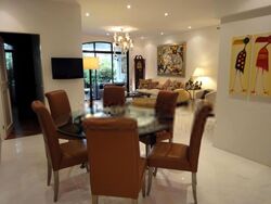 Tanglin Park (D10), Condominium #399794701